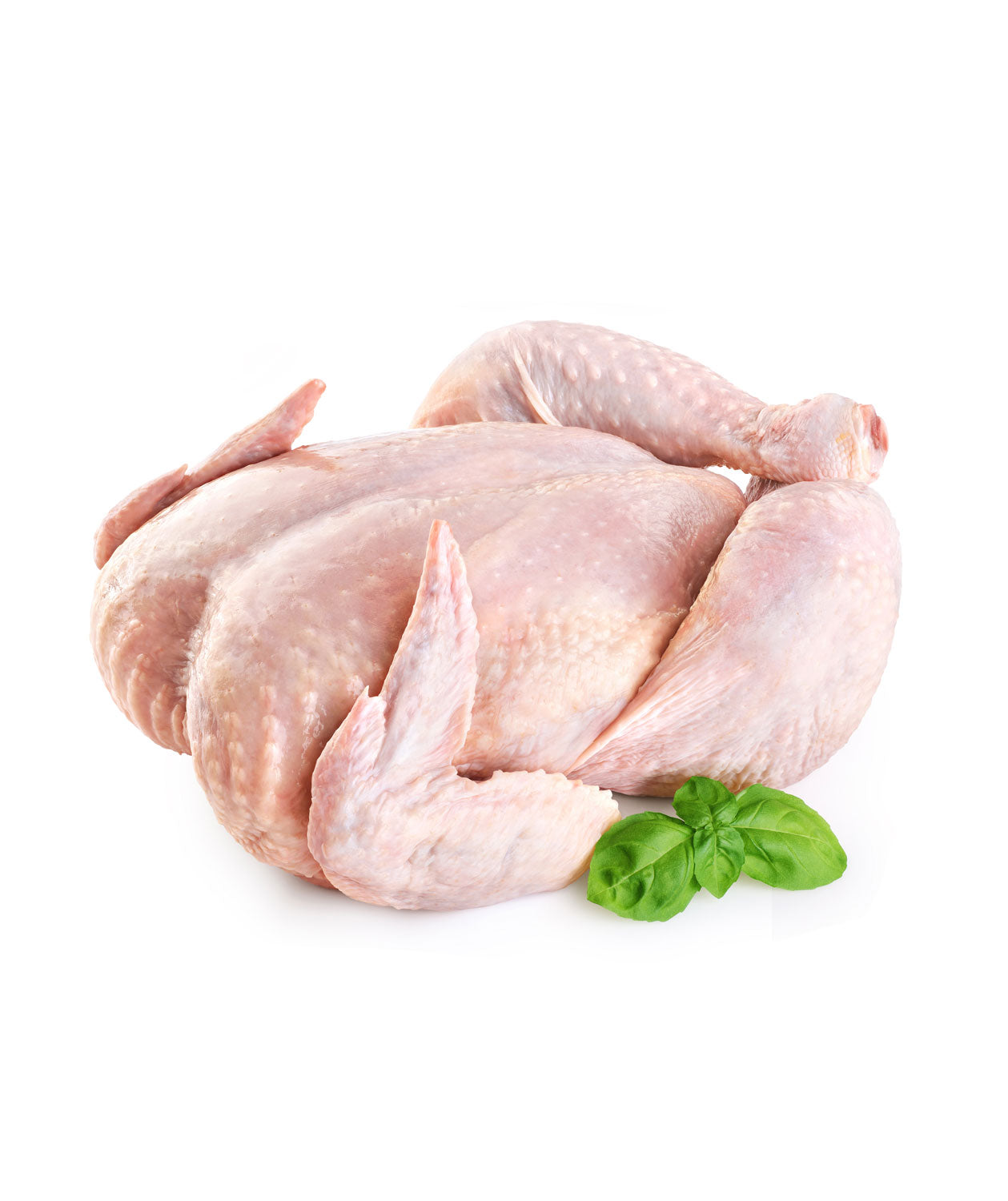 Full Bird with skin/kg